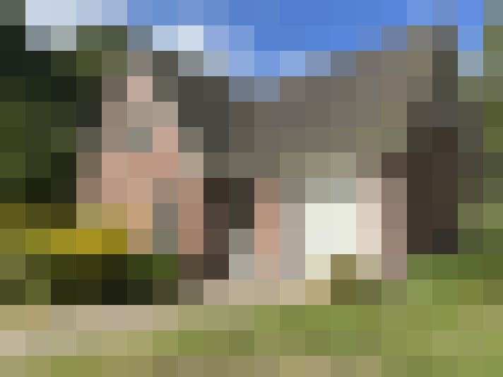 Image 29