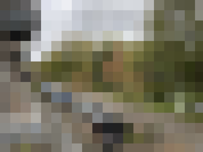 Image 16