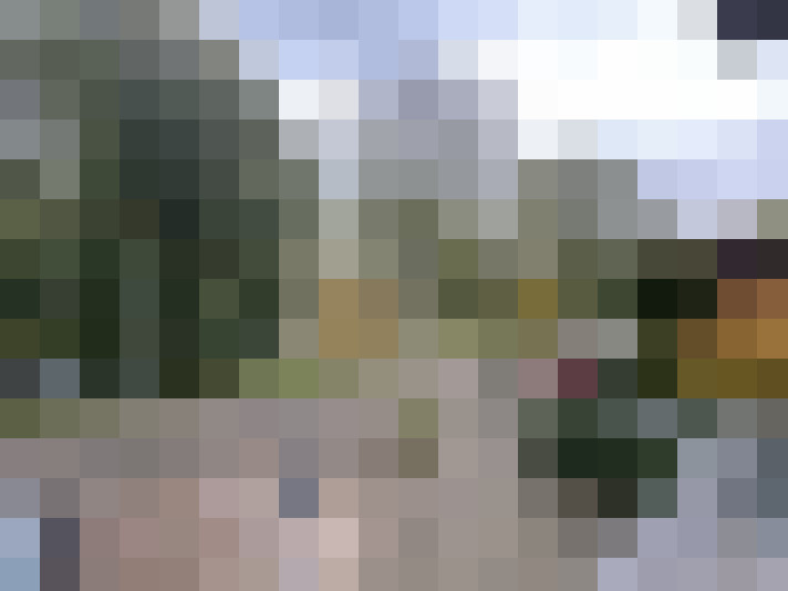 Image 17