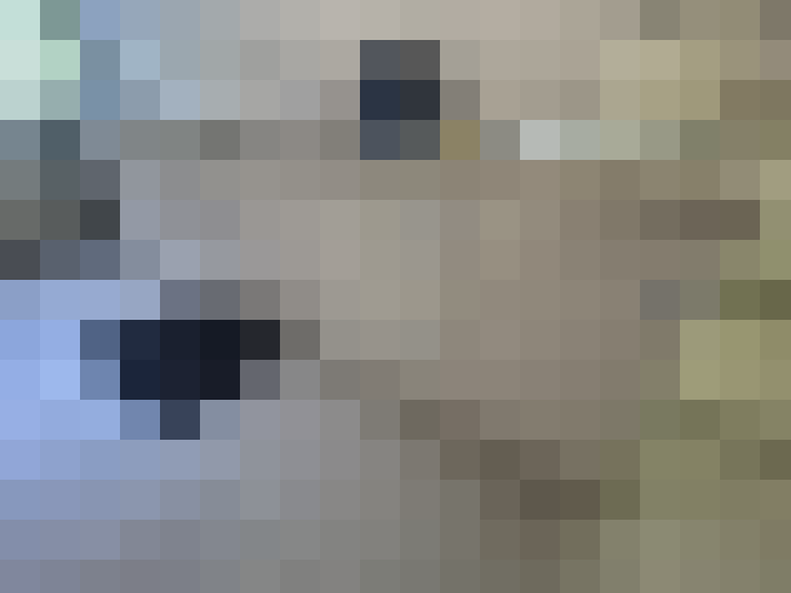  / #16