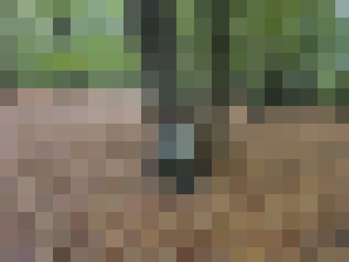  / #15