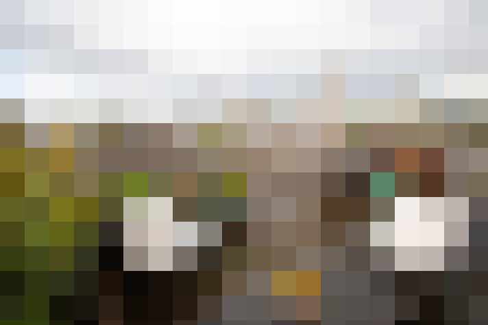 Image 25