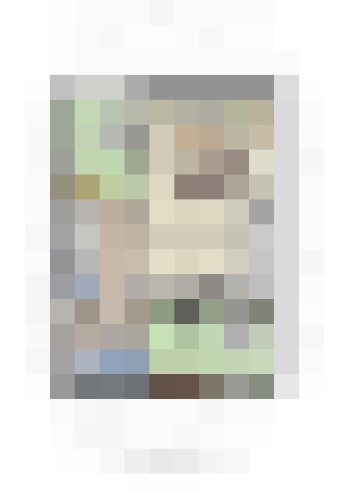 Image 29