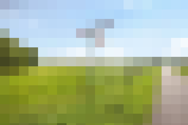 Image 27