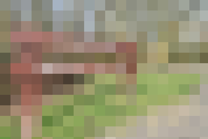 Image 37