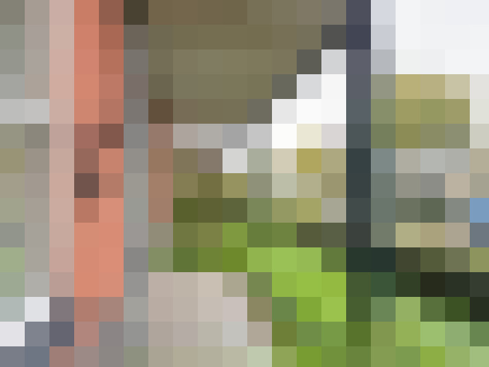 Image 17