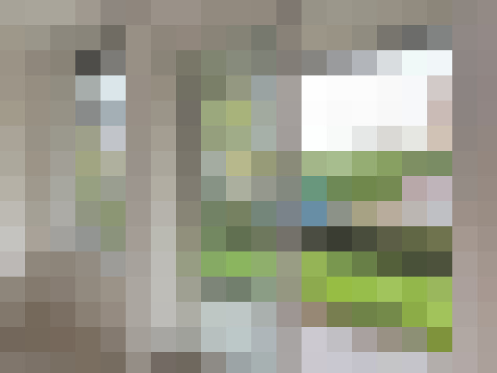Image 14