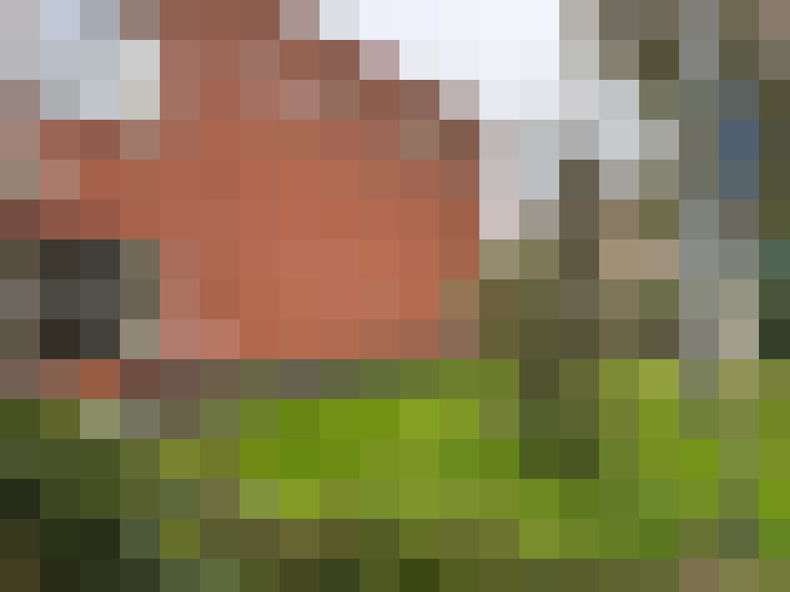 Image 36