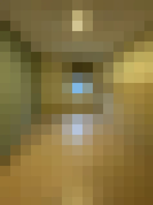 Image 25