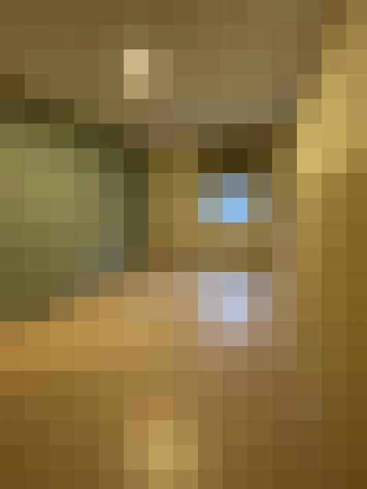 Image 26
