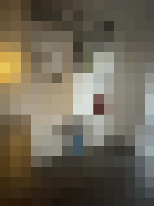 Image 38