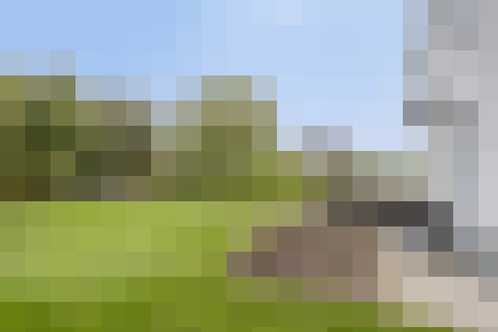 Image 59