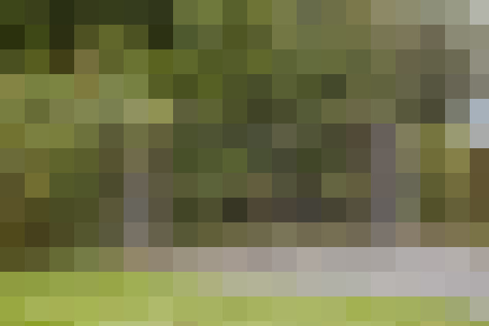 Image 61