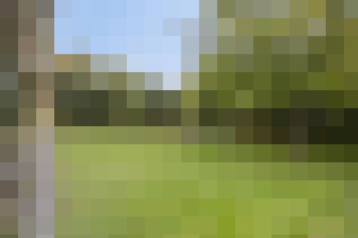 Image 60