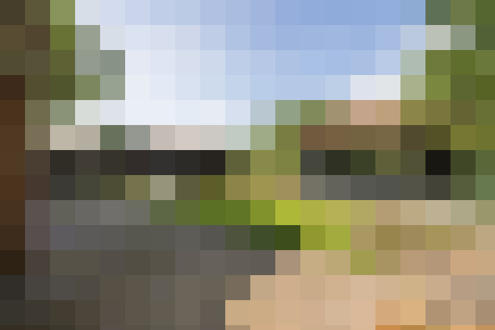 Image 20