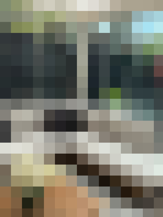 Image 20