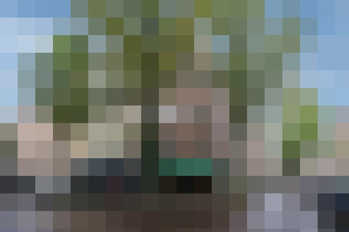 Image 45