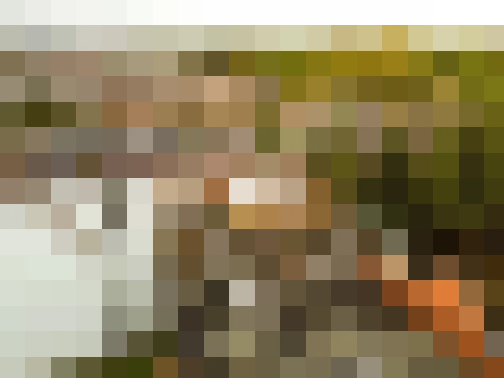 Image 39