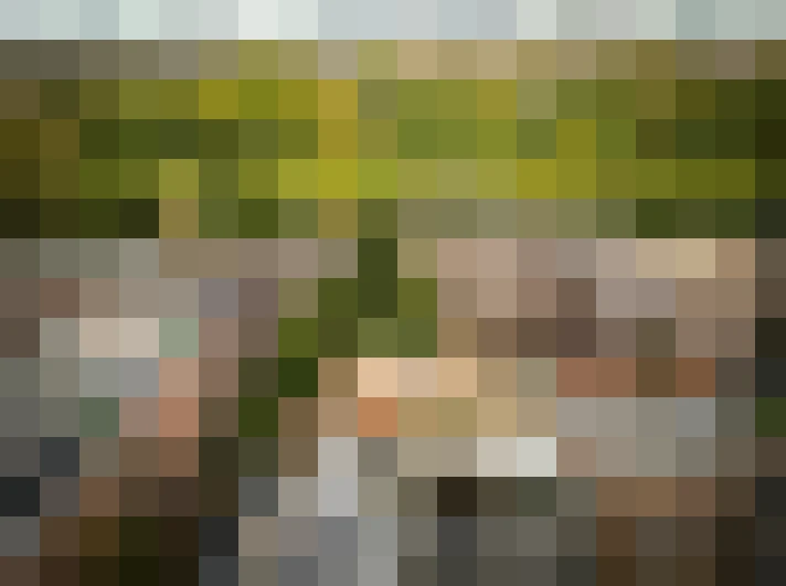 Image 41