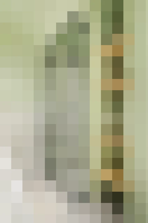 Image 34