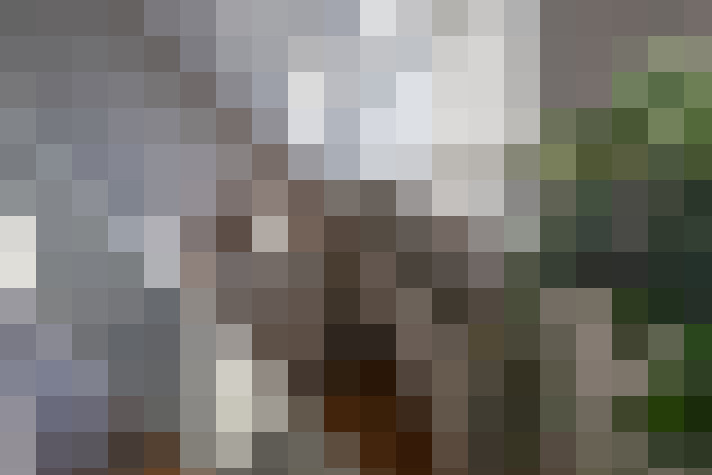 Image 29