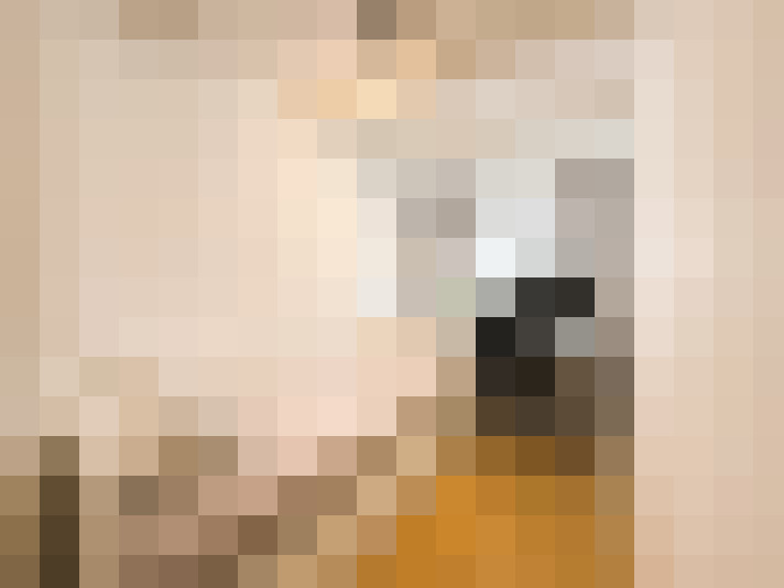 Image 29