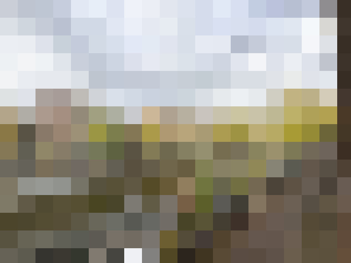 Image 17