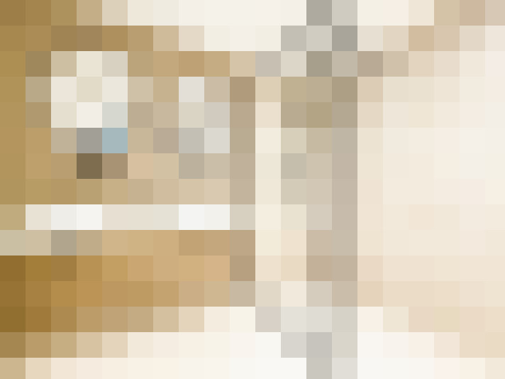 Image 28