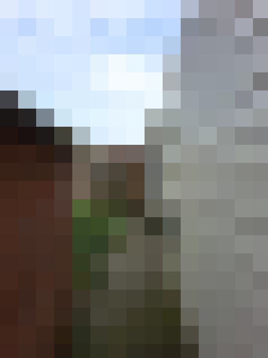 Image 20