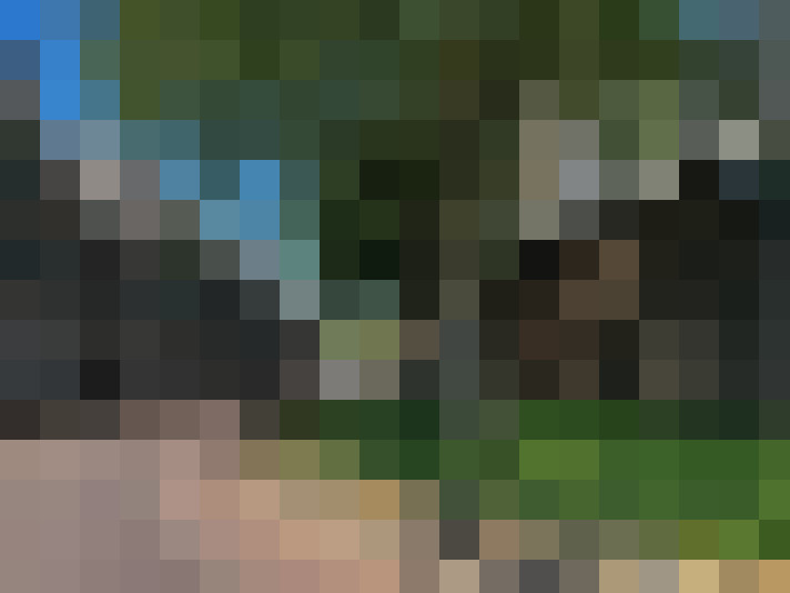 Image 14