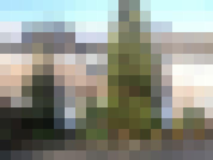 Image 15