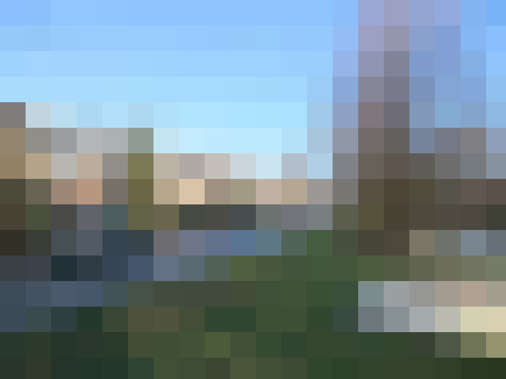 Image 13