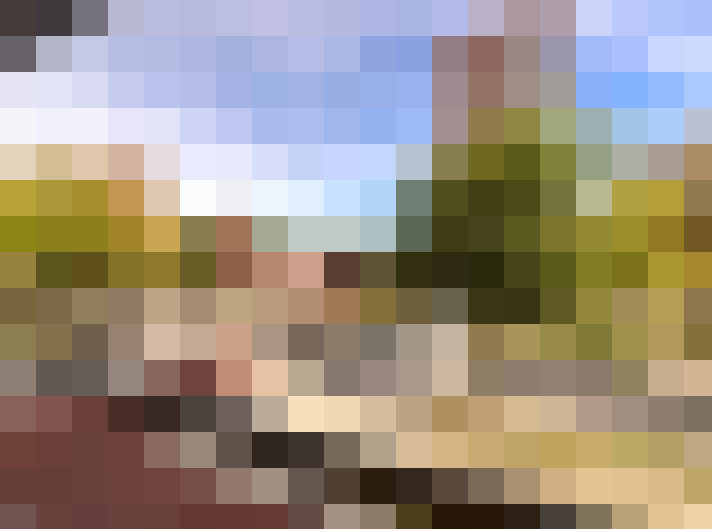 Image 17