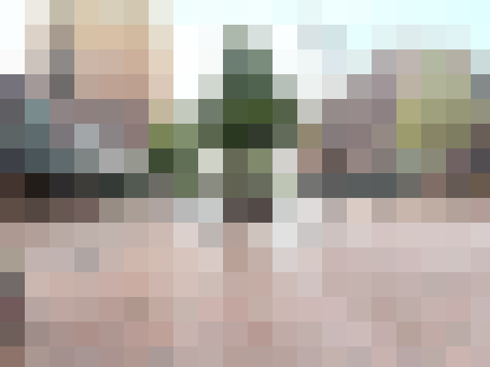 Image 20