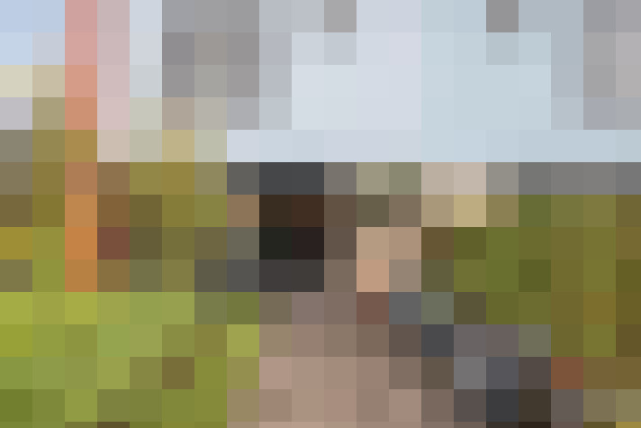  / #14