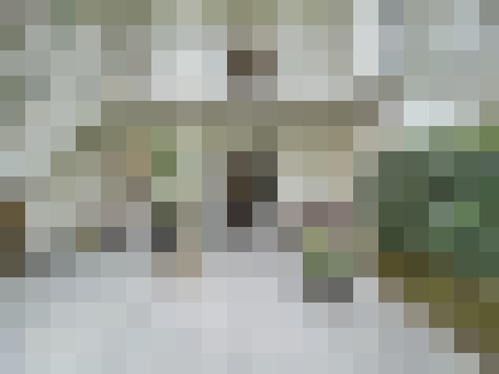 Image 15