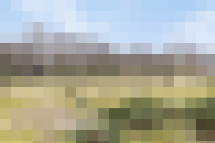 Image 59