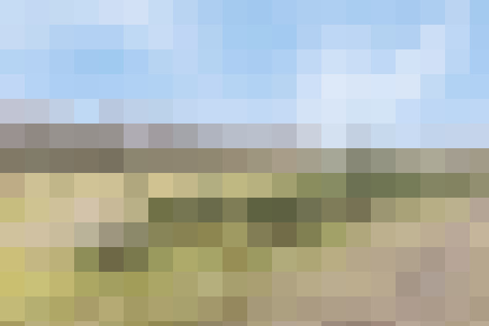 Image 58