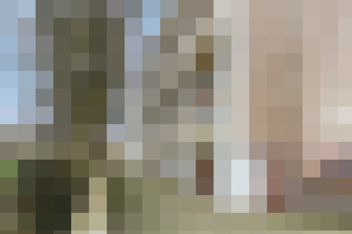 Image 56