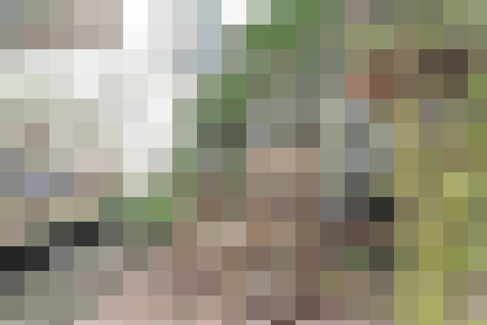 Image 32