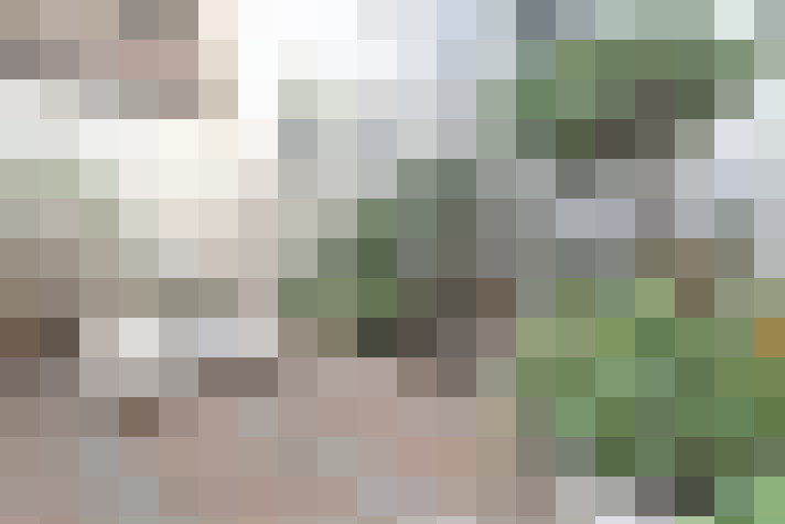 Image 31