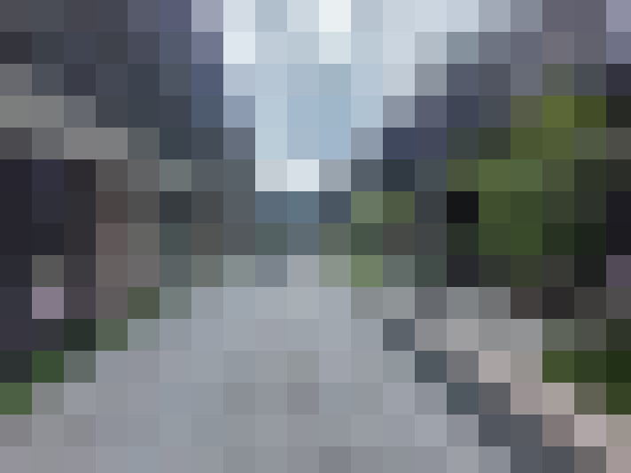 Image 14