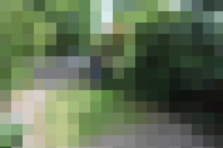Image 22