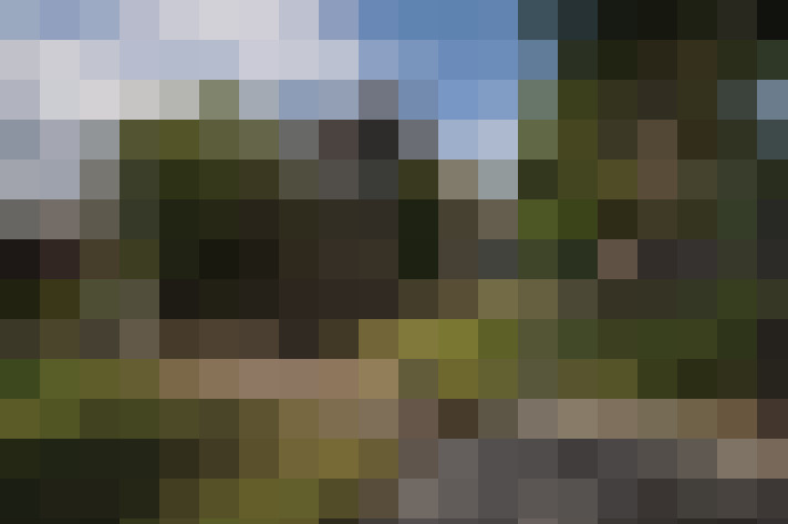 Image 23