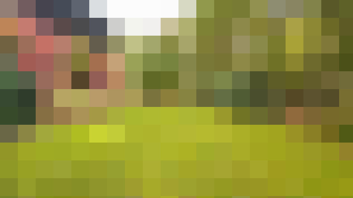 Image 36
