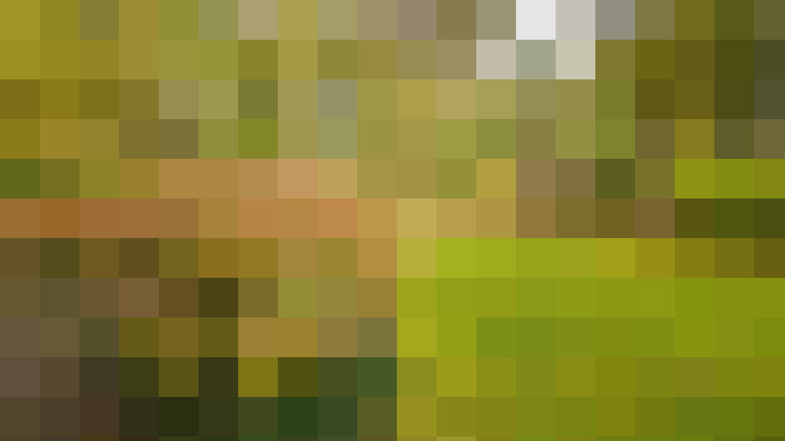 Image 37