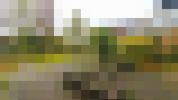 Image 38