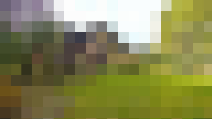 Image 39