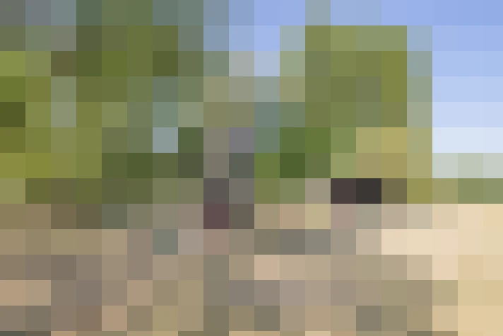 Image 53