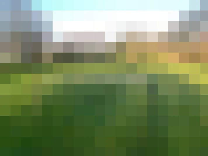 Image 74